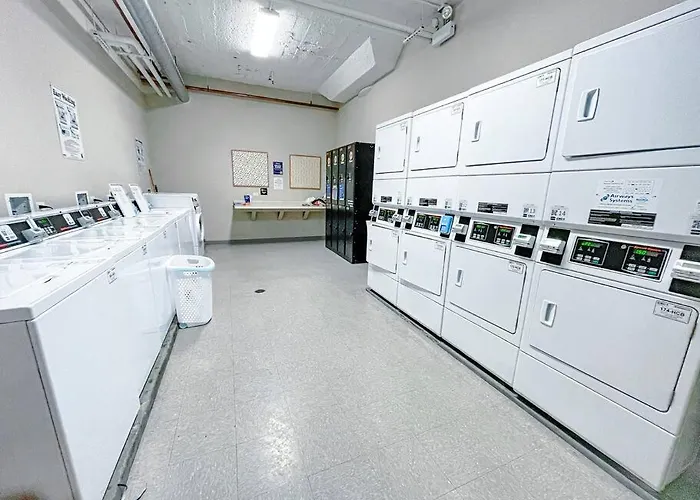 Modern 2br South Loop Gem Near Mccormick Place, Navy Pier, Adler Planetarium & Columbia College Apartment Chicago