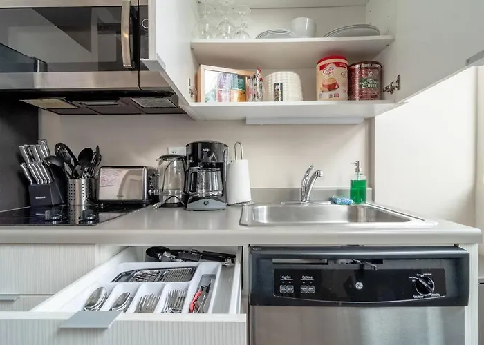 Modern 2br South Loop Gem Near Mccormick Place, Navy Pier, Adler Planetarium & Columbia College Apartment Chicago